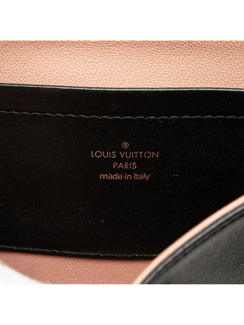 Louis Vuitton introducing louis
